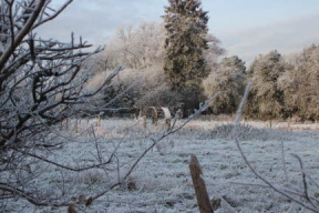 A field in Oxford after a severe frost 2012
MR=576x384pixels 8x5.3inches 72ppi
HR=3456x2304p 48x32in 72ppi A field in Oxford after a severe frost 2012.